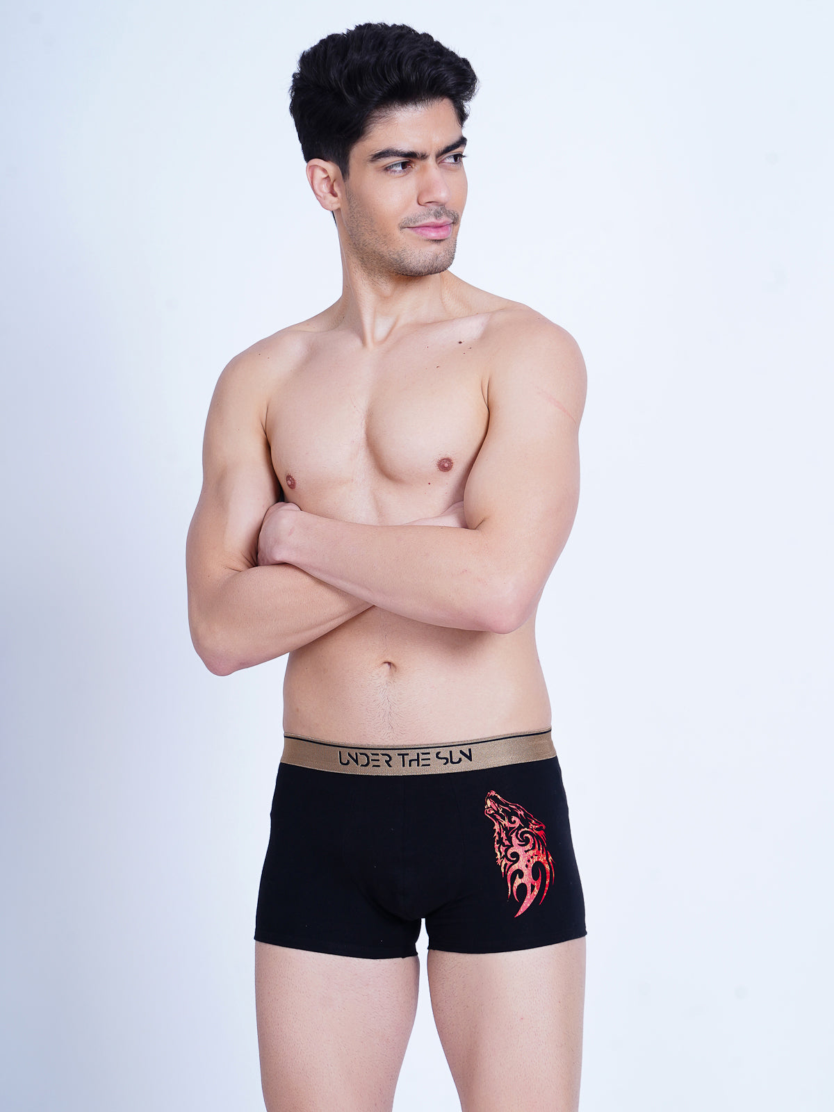 Wolfgang Trunks