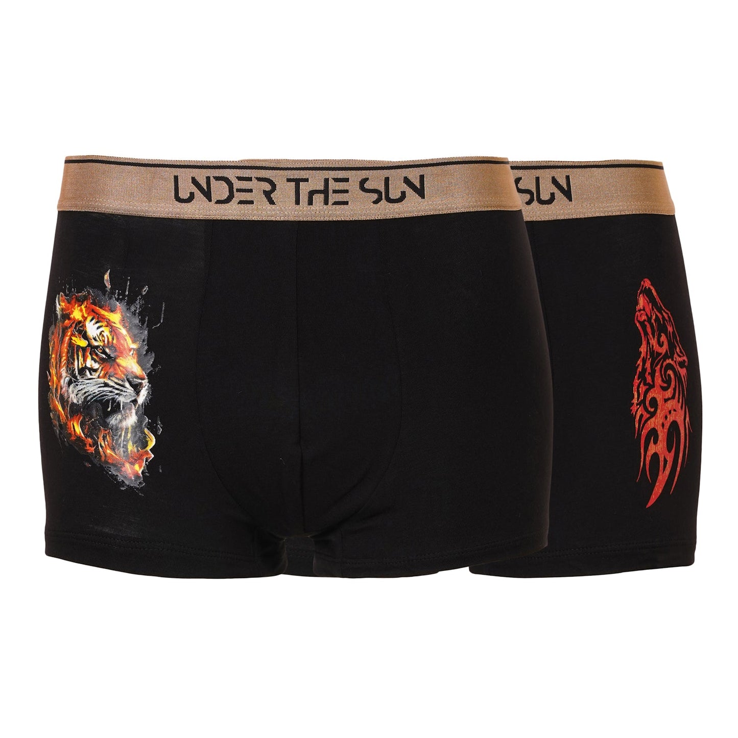 Fury Trunks (Combo of 2)