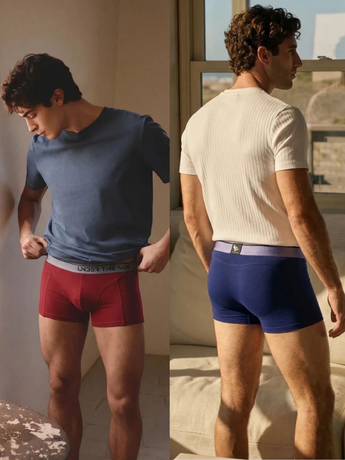 Pack of 2 | Mahogany & Cobalt Trunks