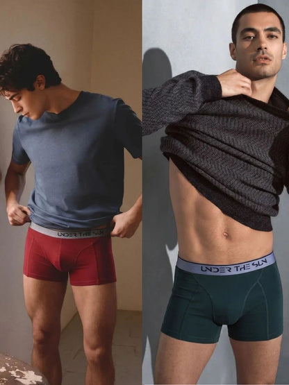 Pack of 2 | Mahogany & Olive Trunks