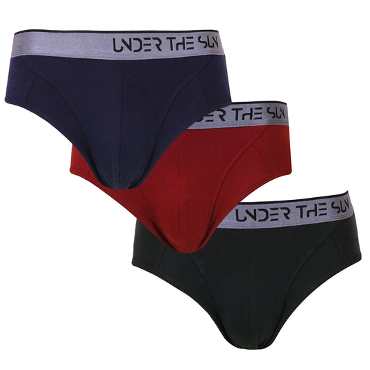 Timeless Classics Briefs (Combo of 3)