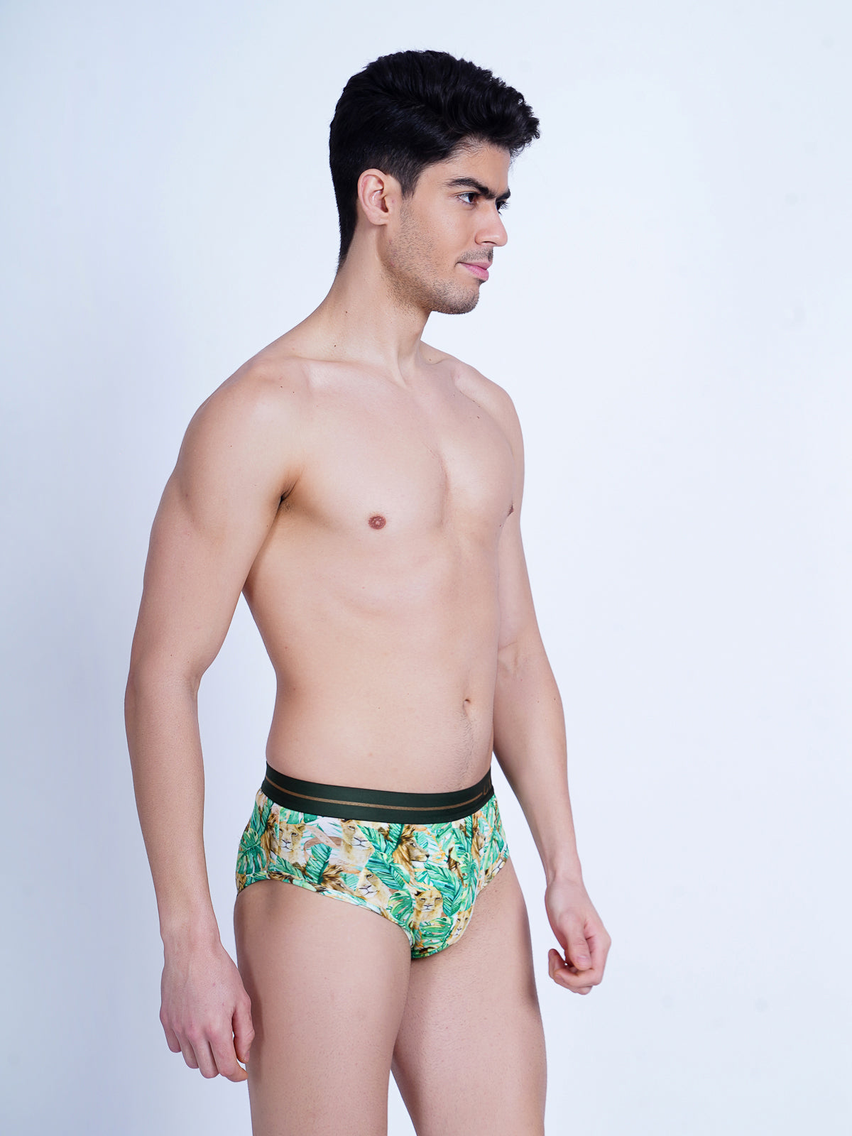 Lion Heart Briefs