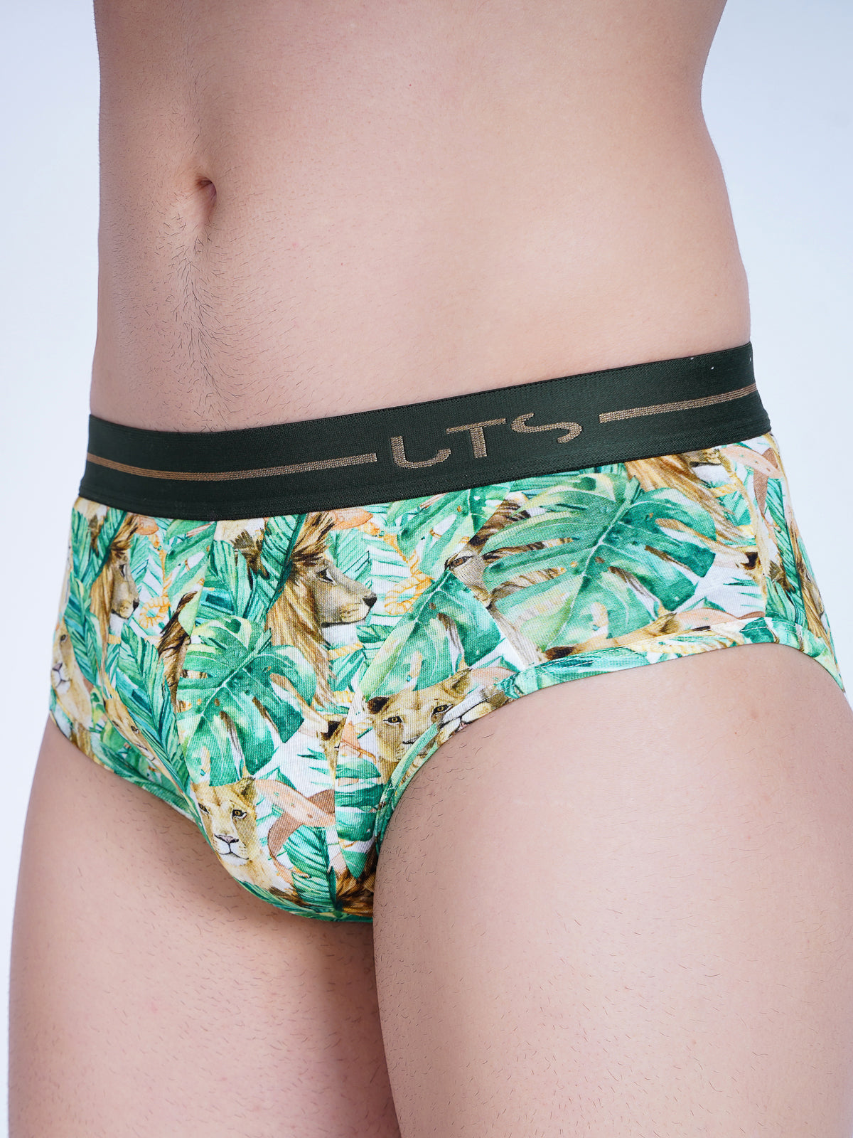 Lion Heart Briefs