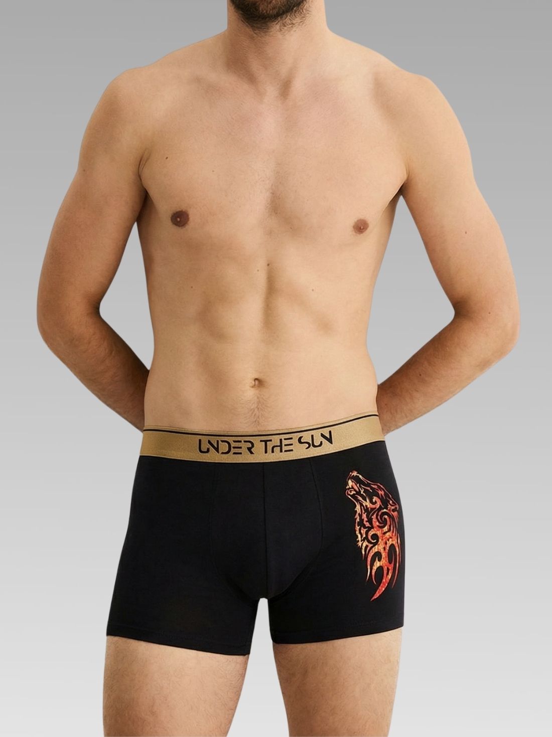 Pack of 4 | Titan, Wolfgang, Ember & Rhythem Ikat Trunks