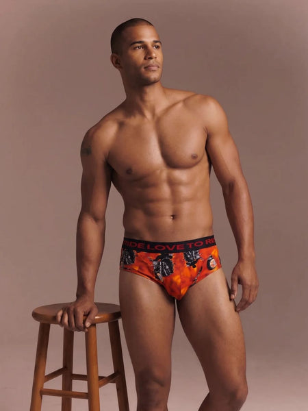 Rebel Briefs