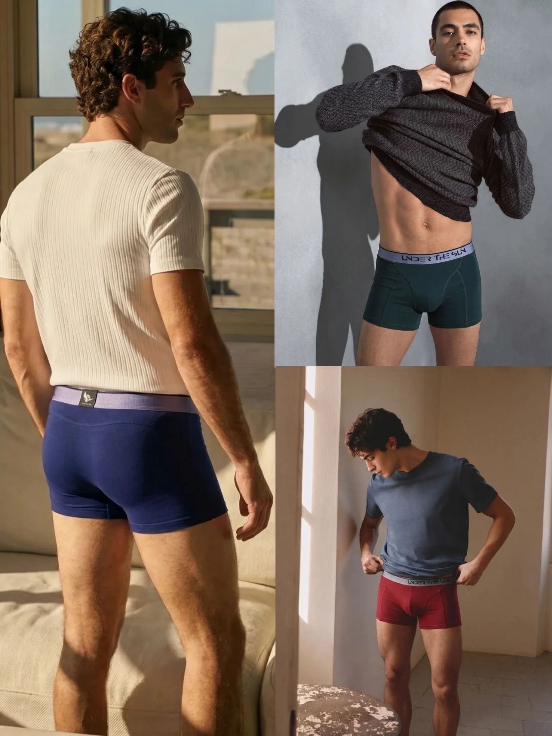 Pack of 3 | Olive, Mahogany & Cobalt Trunks