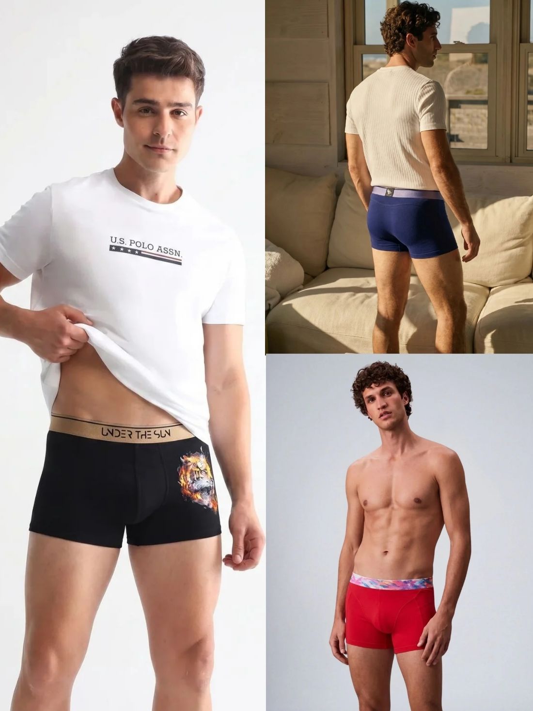 Pack of 3 | Passion, Cobalt & Titan Trunks