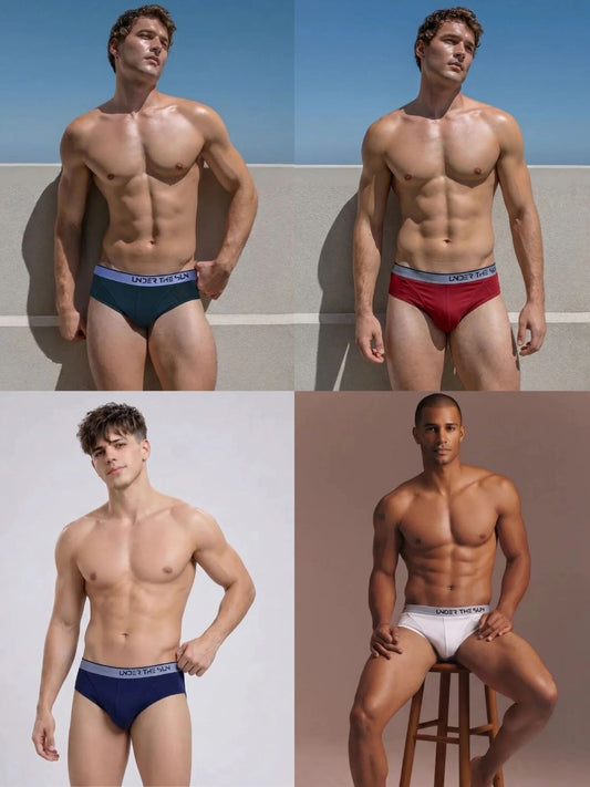 Pack of 4 | Olive, Mahogany, Cobalt & Frost Briefs